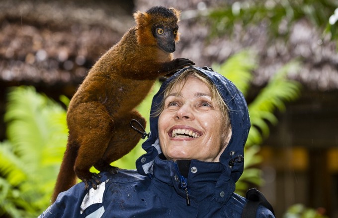 Lemuren auf Madagaskar news bild