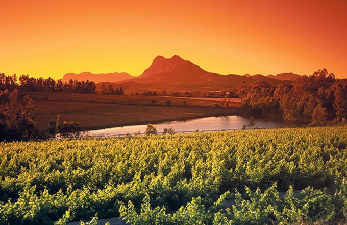 Weinberge von Stellenbosch in Südafrika news bild
