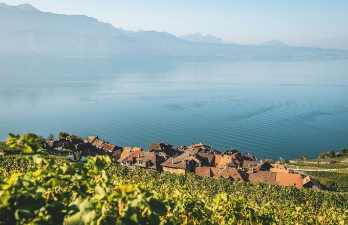 Weindorf St-Saphorin am Genfersee news bild
